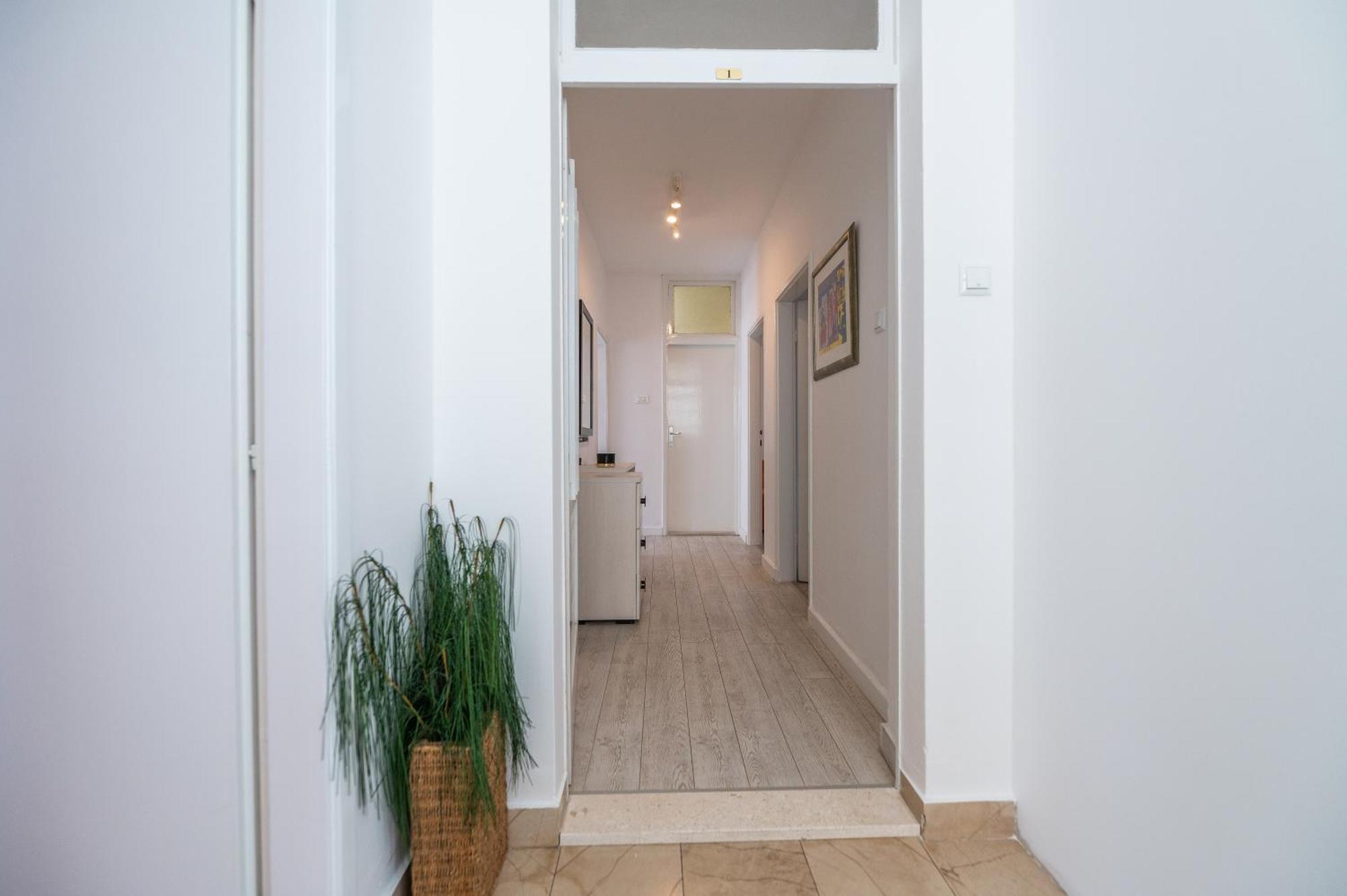 Apartments Sokol 马卡尔斯卡 外观 照片